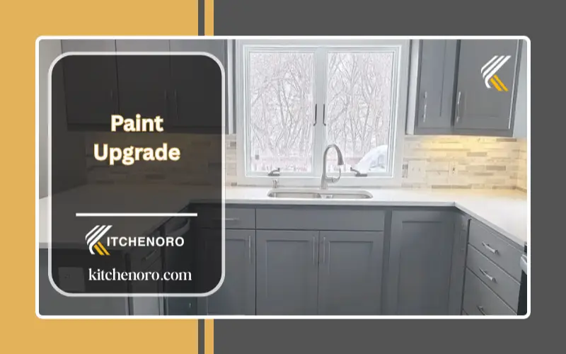 Paint Upgrade